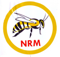 National Rescue Movement logo